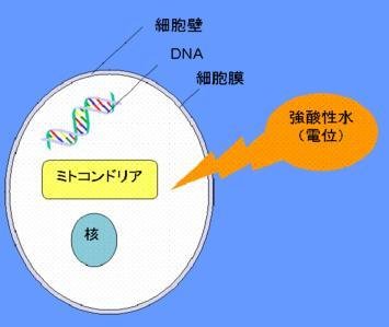 酸性水　酸性