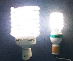 節電対策　電球型蛍光灯