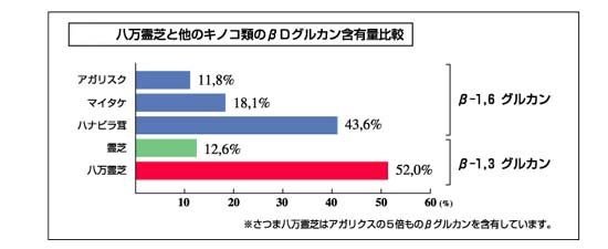 鹿角霊芝生の効能効果