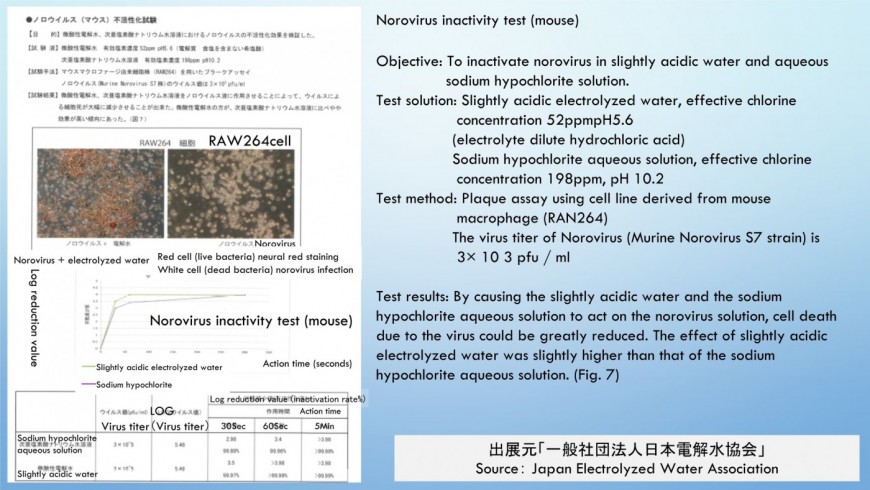 Norovirus inactivity test (mouse)hypochlorous acid water   Effective chlorine content ratio in water
