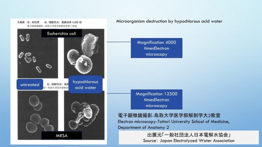 Microorganism destruction by hypochlorous acid water