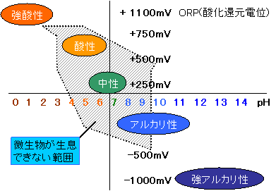 アトピーと強酸性水 強酸性水生成器ラボ2 ポータブル型家庭用